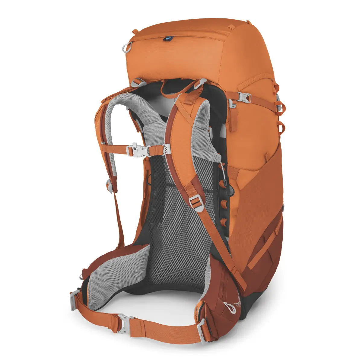 【OUTLET】 エース50 (オレンジサンセット) オレンジサンセット