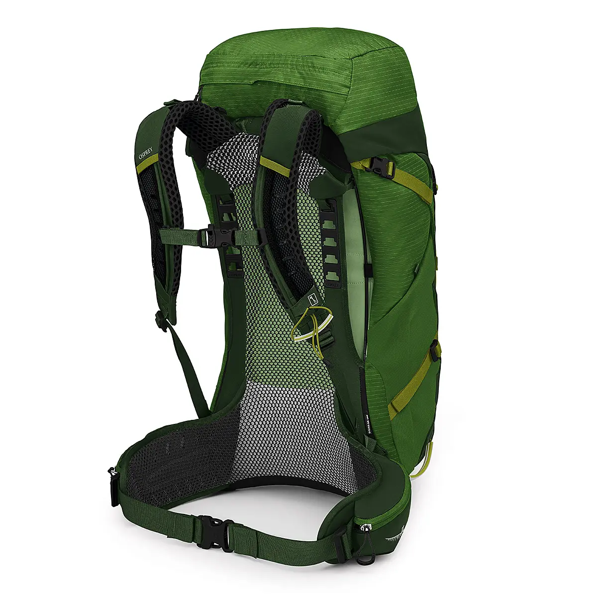 【OUTLET】 ストラトス44 シーウィード/マッチャグリーン