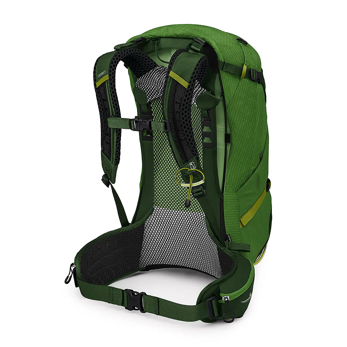 【OUTLET】 ストラトス34 シーウィード/マッチャグリーン