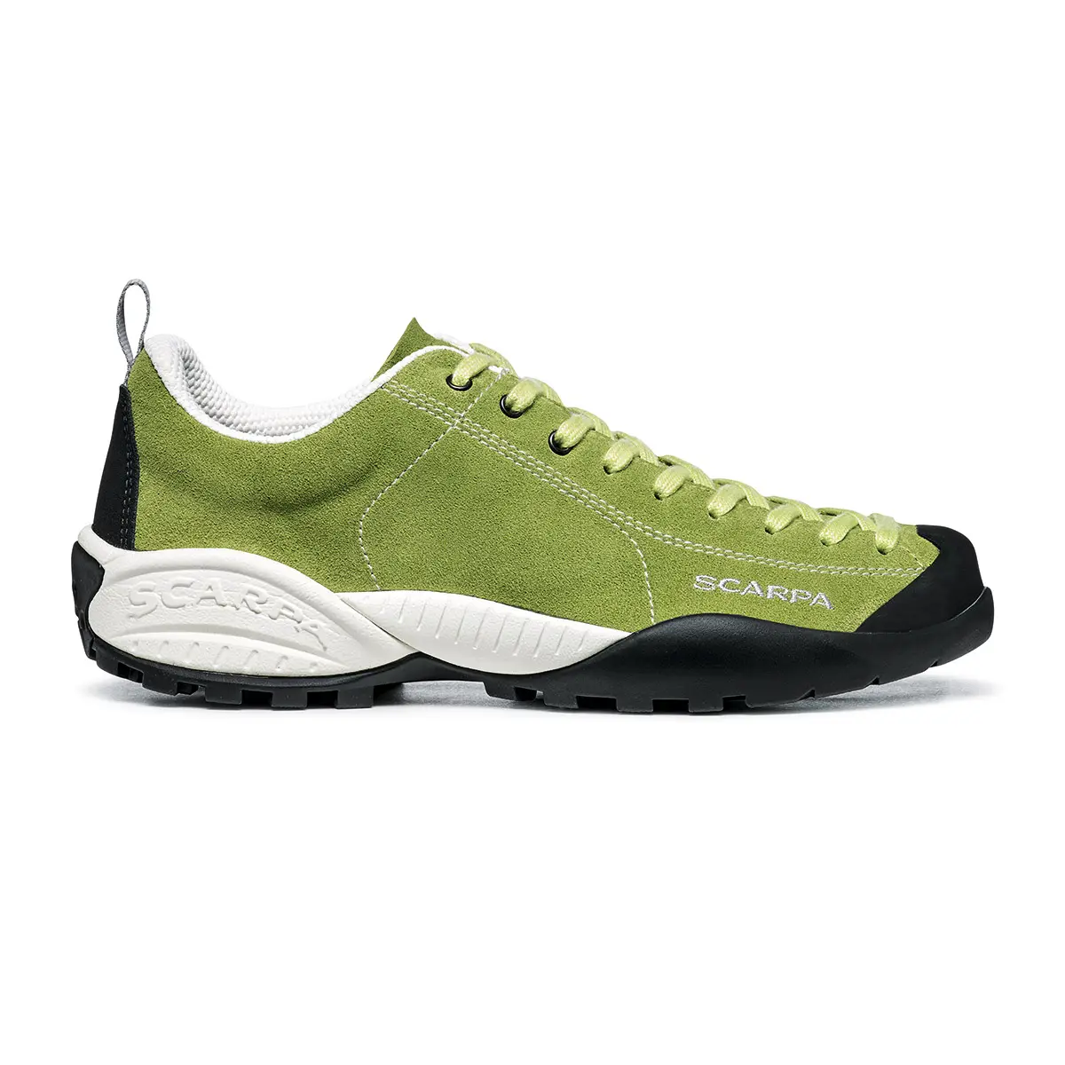 【OUTLET】 モヒート アロエ アロエ 36