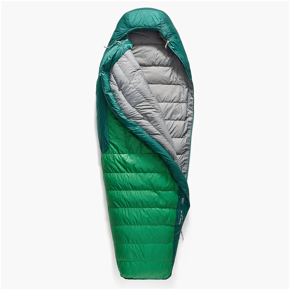 【OUTLET】 アセント-9C レギュラー
