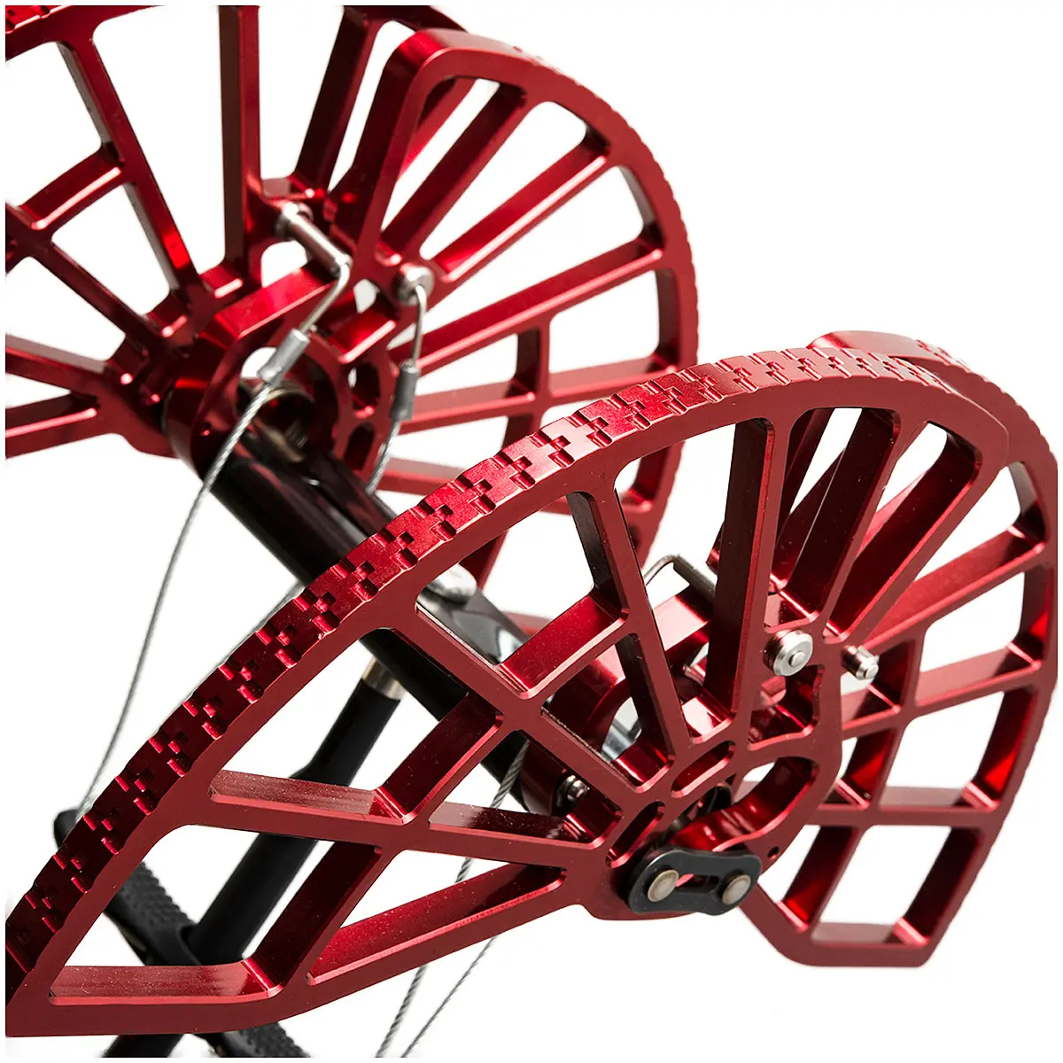 【WEB限定】 キャメロットC4 #7 #7
