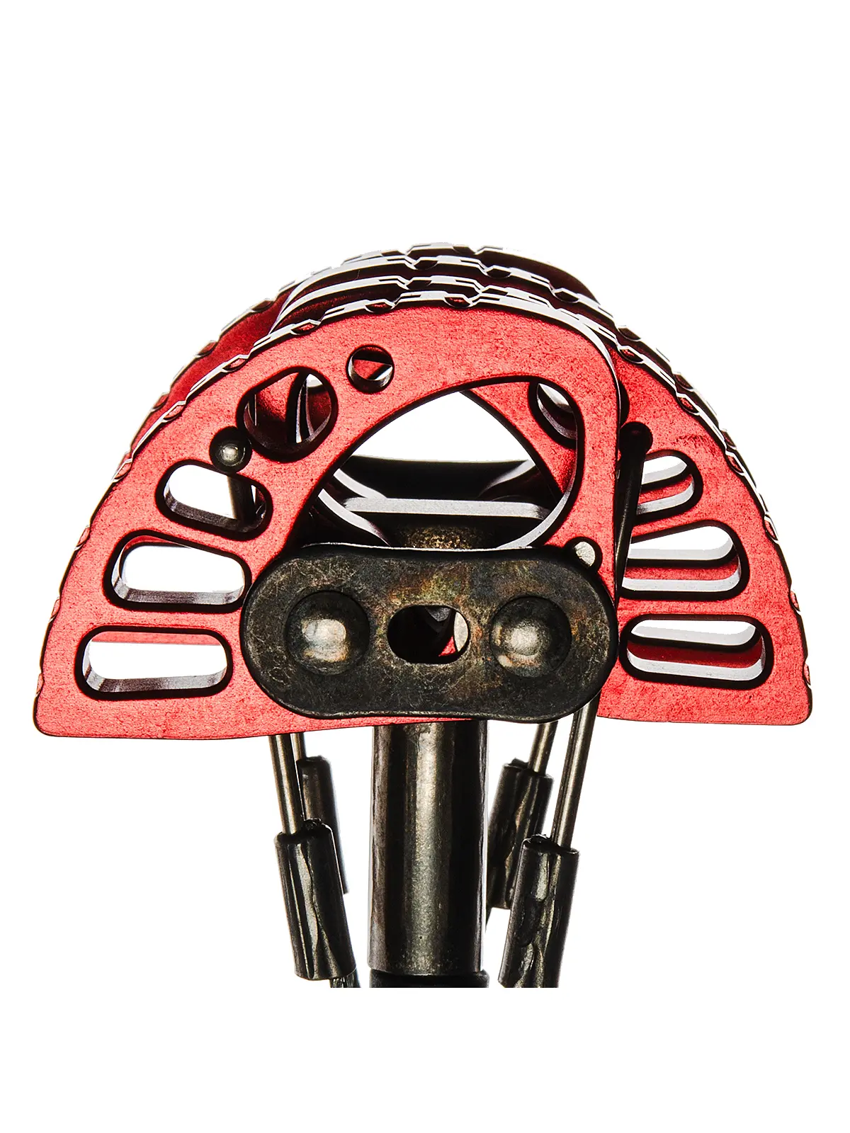 キャメロットC4 エクステンダブルスリング #1