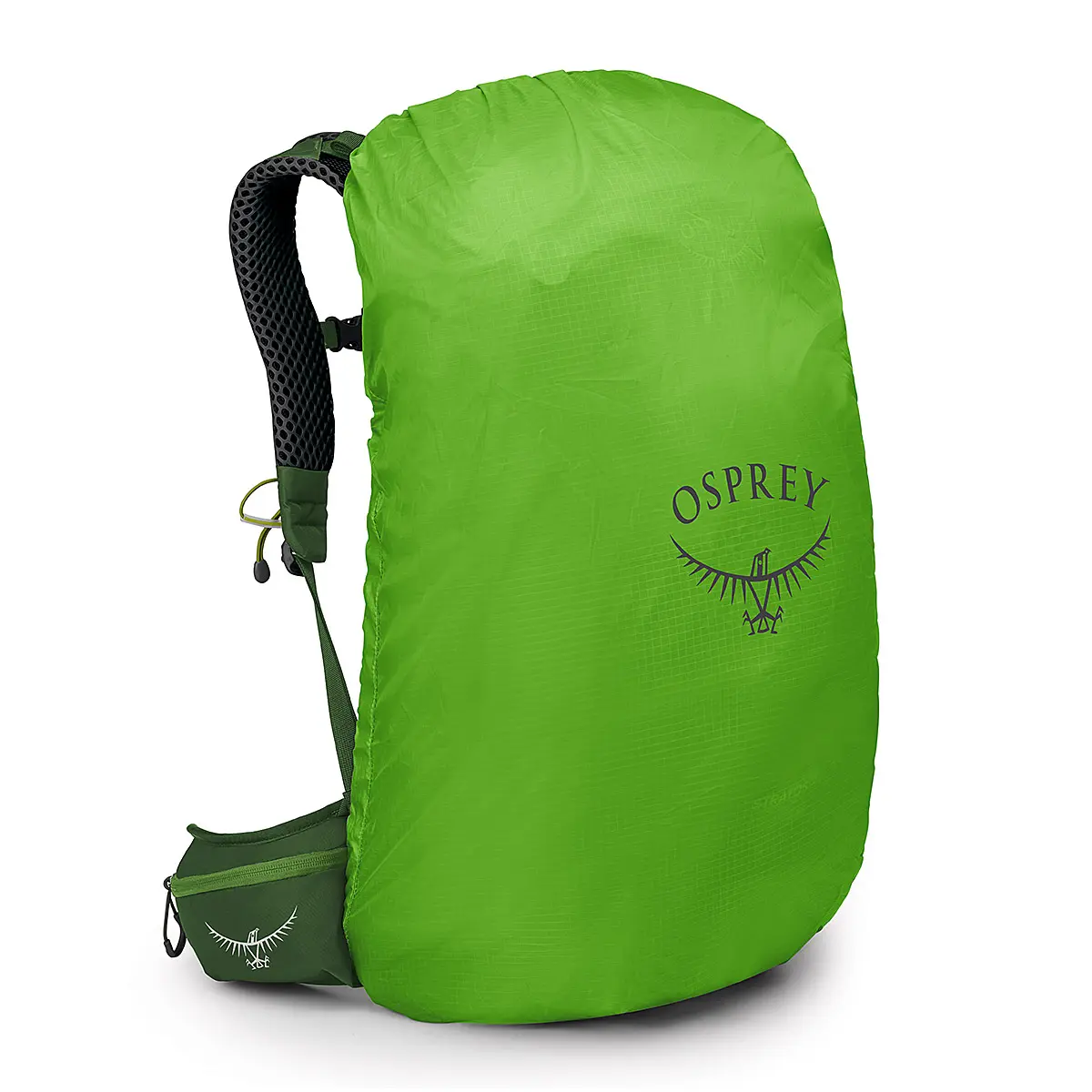 【OUTLET】 ストラトス34 シーウィード/マッチャグリーン