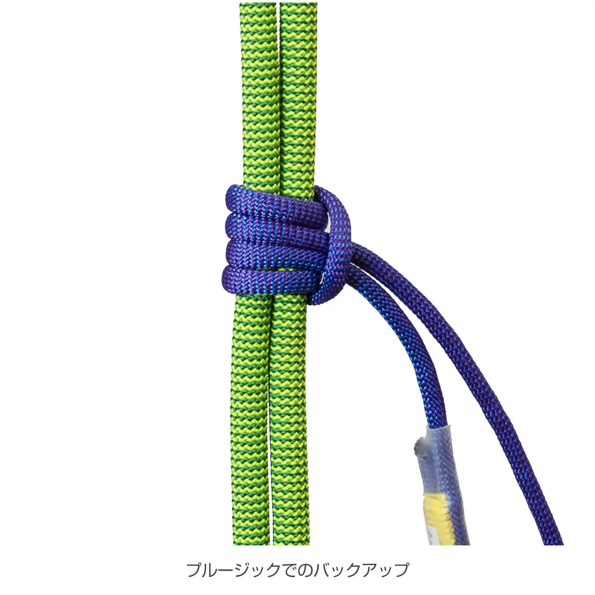 ジャミー パープル 35cm