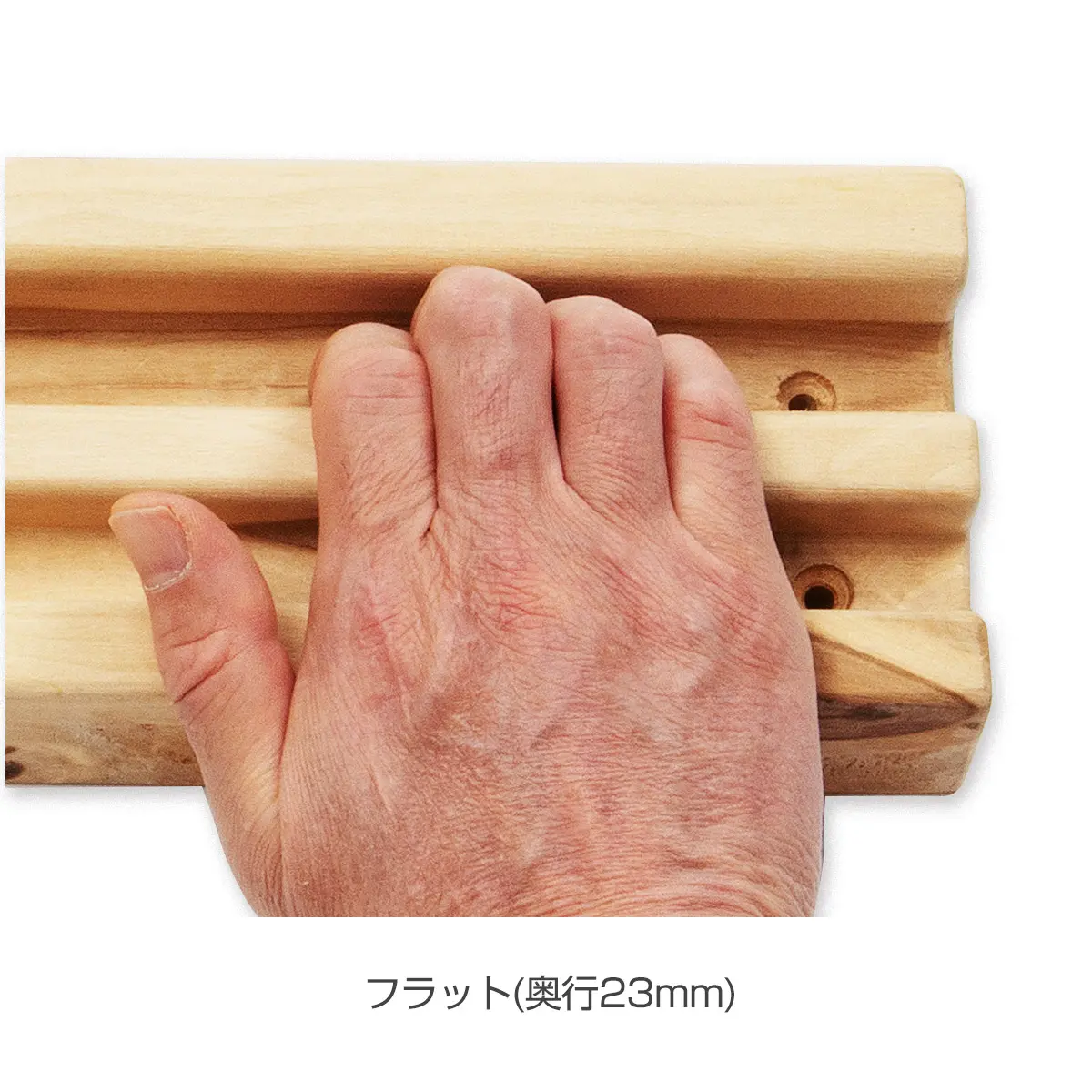 プライムリブ