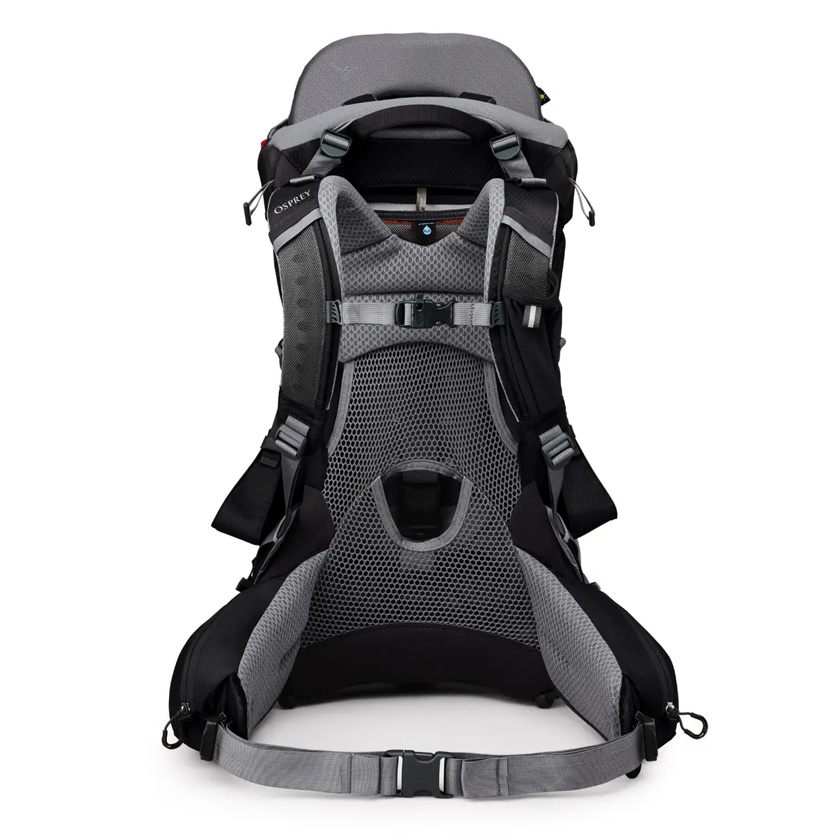 【OUTLET】 ポコプレミアム ブラック