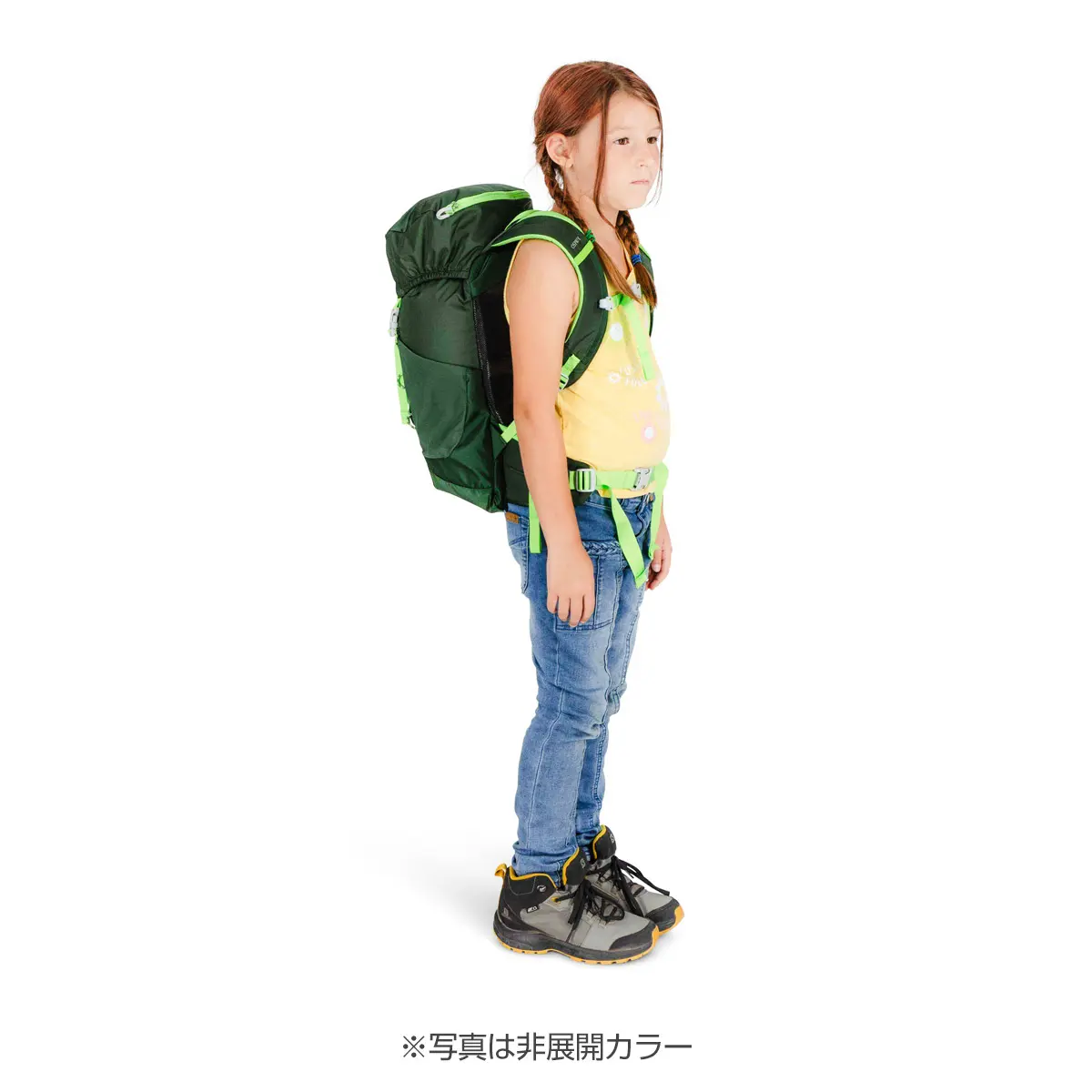 ジェット18 ブルースパイクモス