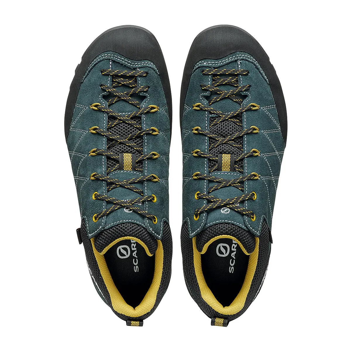 【OUTLET】 クラックスGTX ペトロ―ル 42