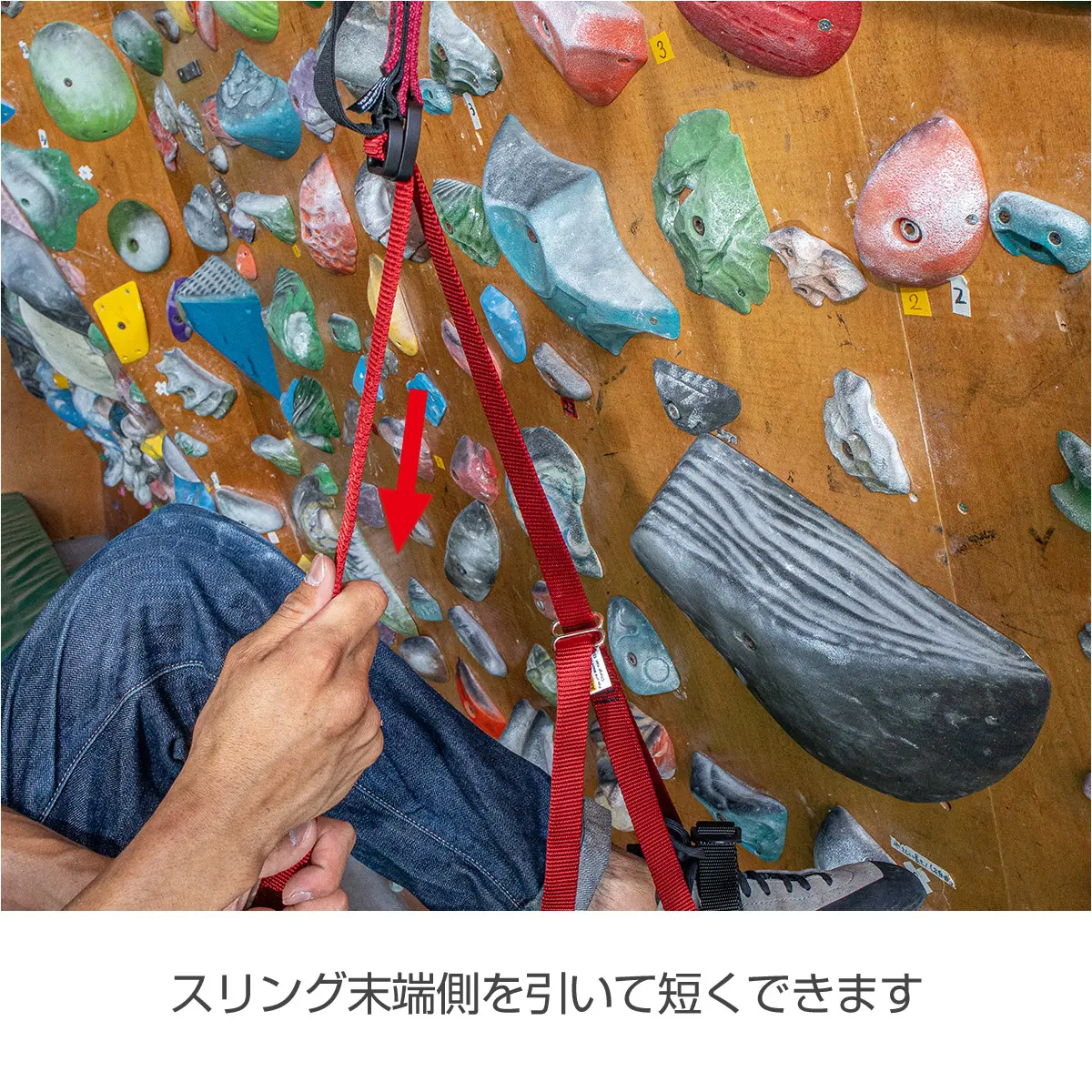 イージーエイダー L