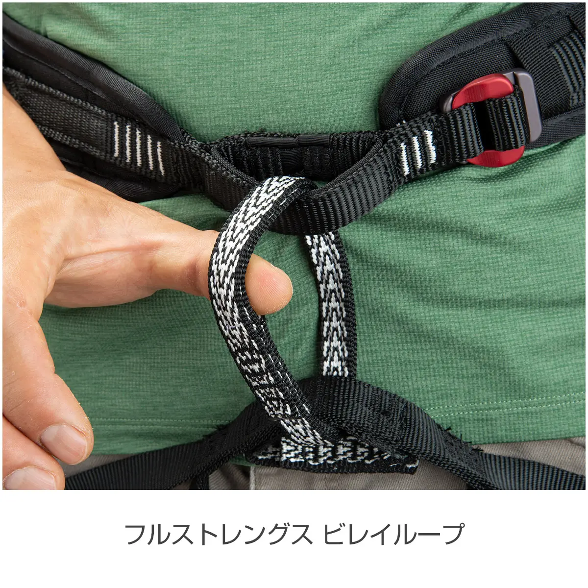 セーフテックコンプ L