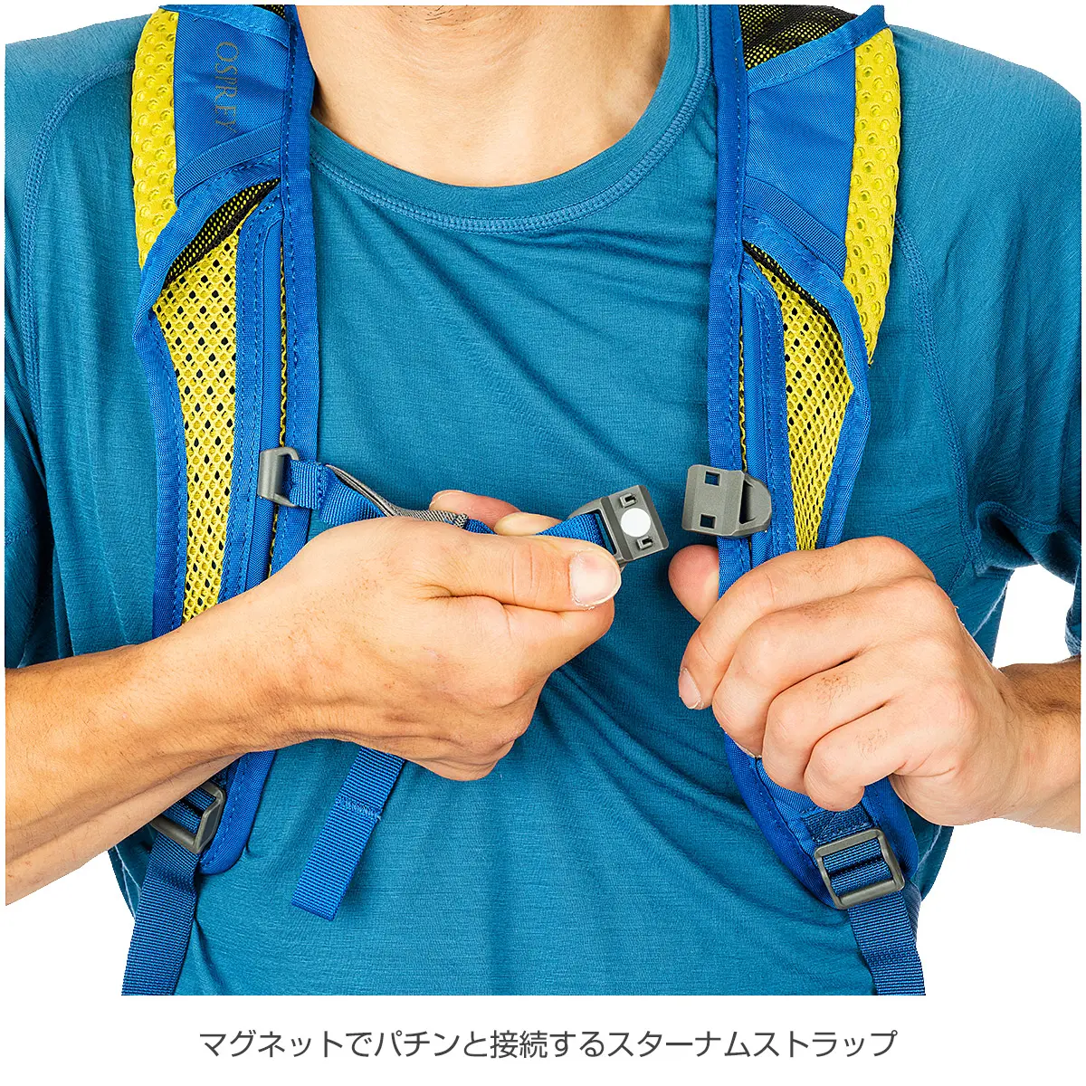 【OUTLET】 シスキン8 ブラック