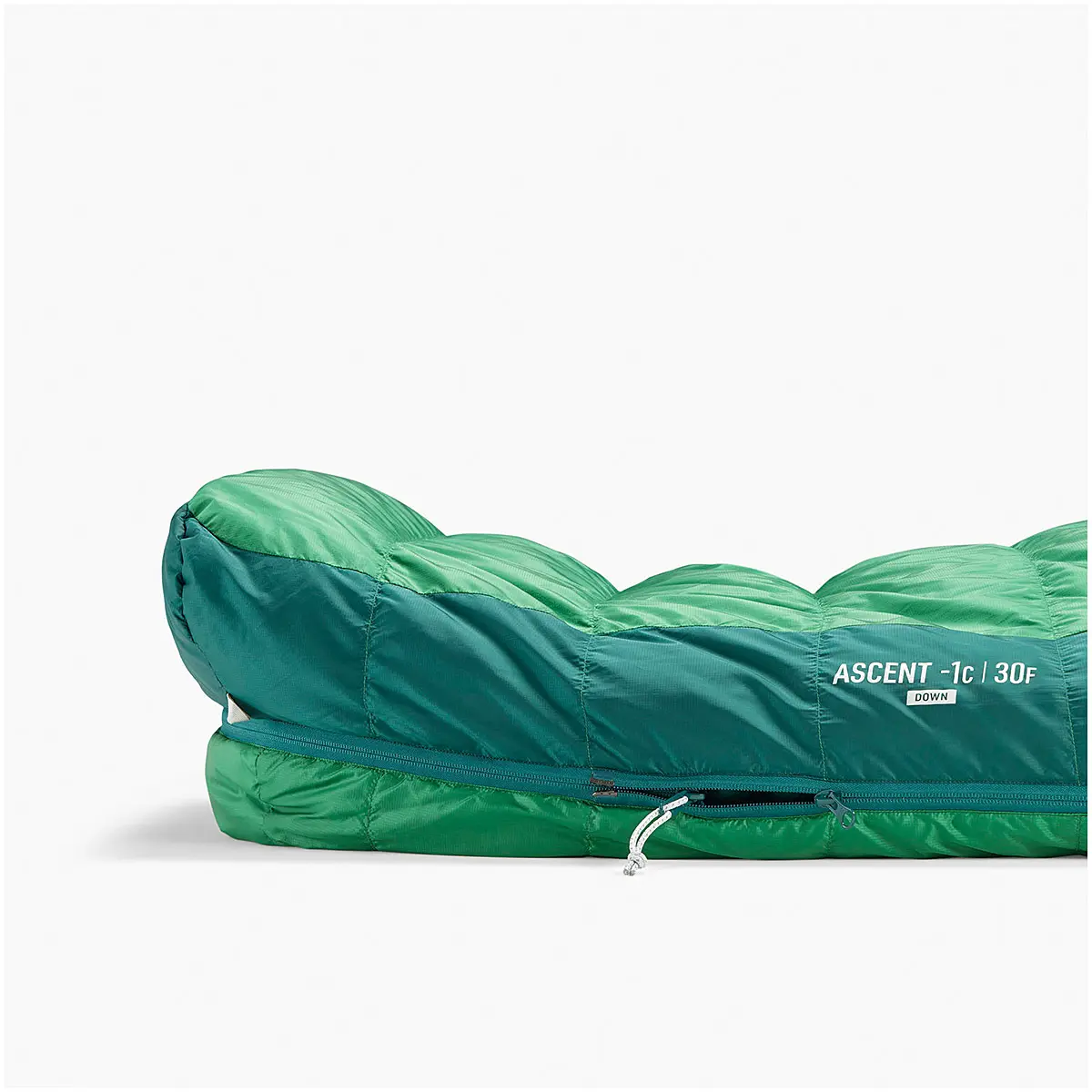 【OUTLET】 アセント-9C レギュラー