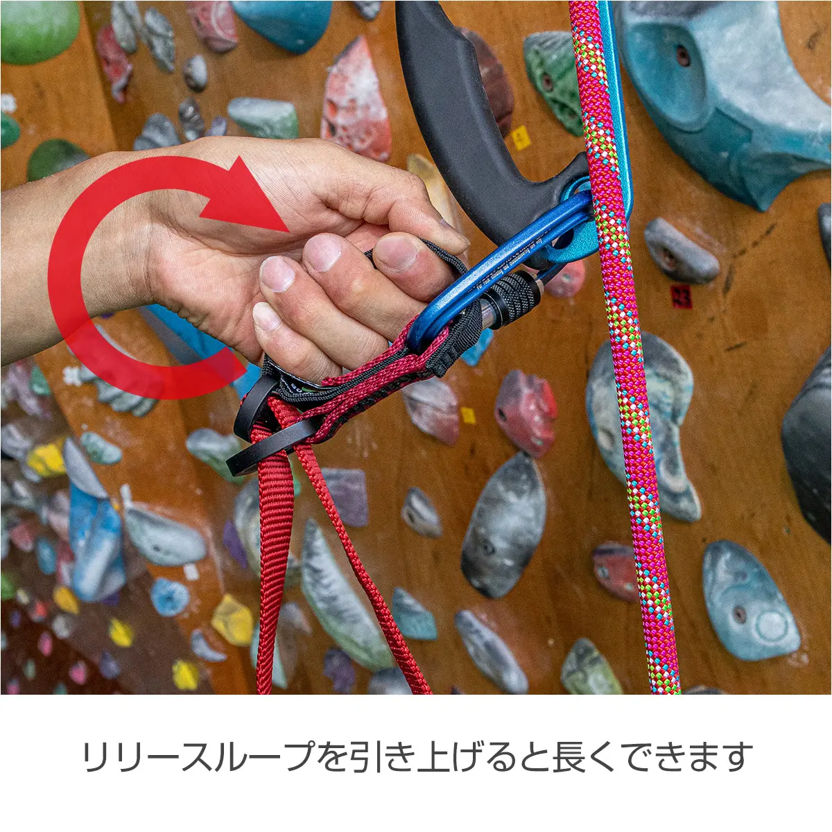 イージーエイダー L