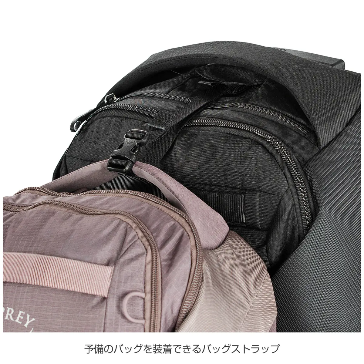 ソージョンウィールド60 コースレットグリーン