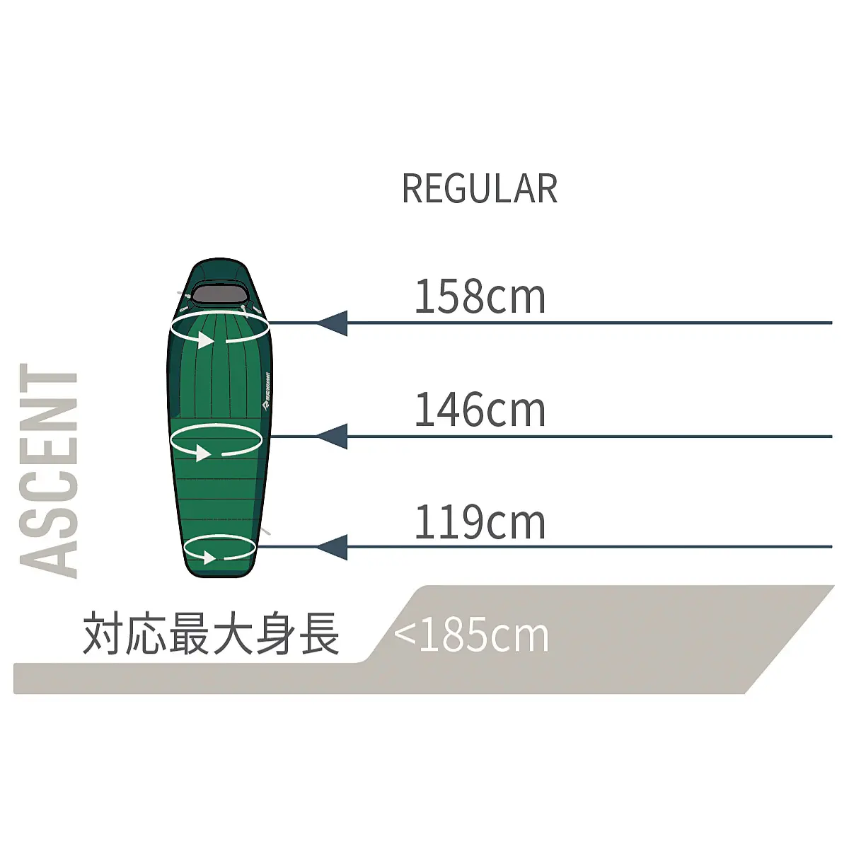 【OUTLET】 アセント-9C レギュラー