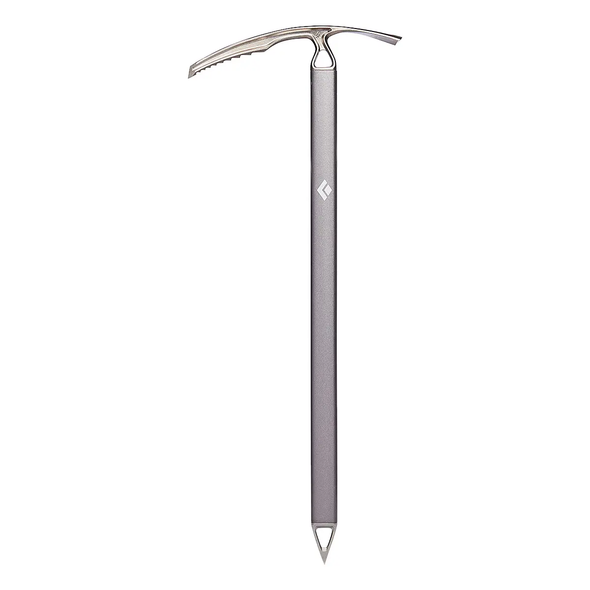 レイブン 55cm