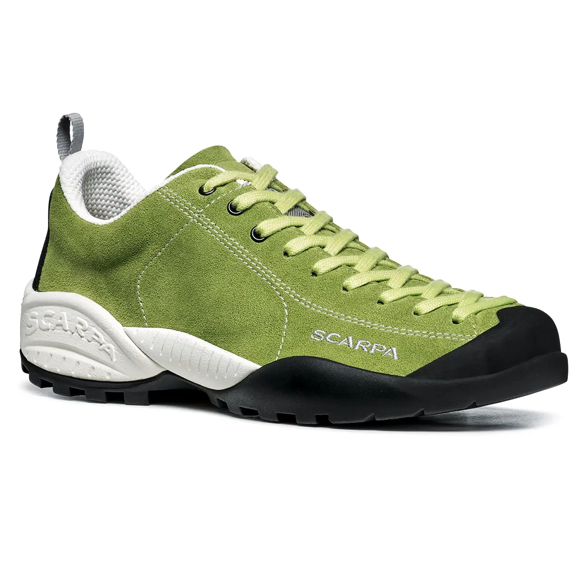 【OUTLET】 モヒート アロエ アロエ 36