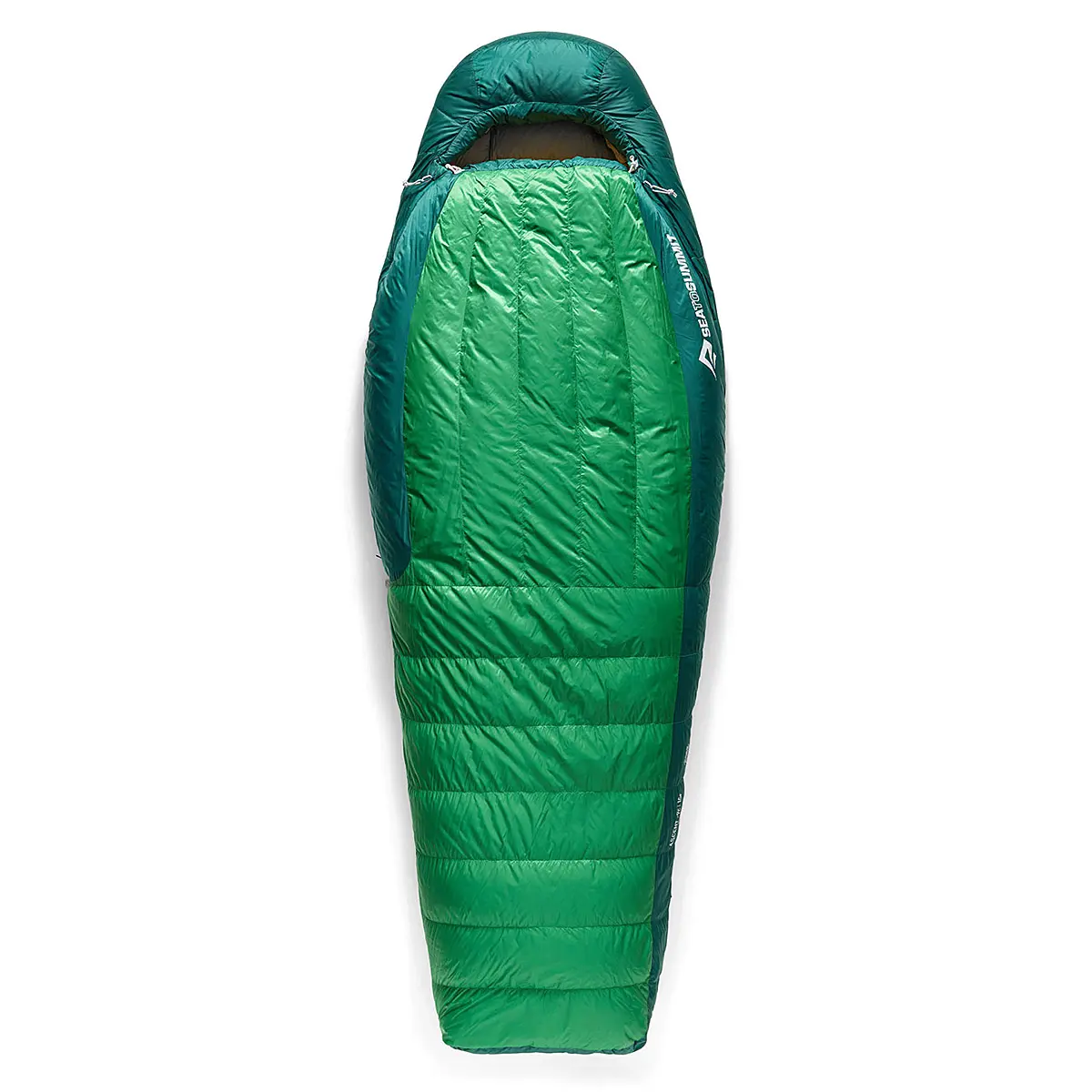 【OUTLET】 アセント-9C レギュラー